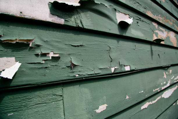 Best Weatherproofing and Sealing  in Green Bay, WI