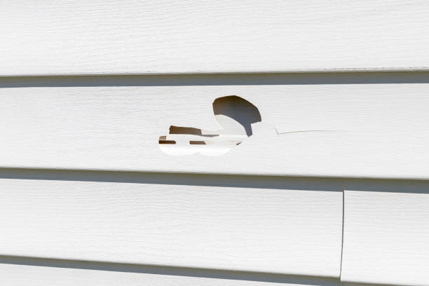 Best Siding for New Construction  in Green Bay, WI