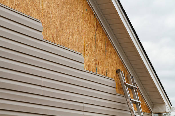 Affordable siding repair and maintenance services in Green Bay, WI